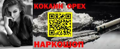 гидра Кингисепп