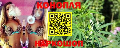 гидра Кингисепп