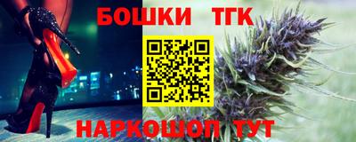 гидра Кингисепп
