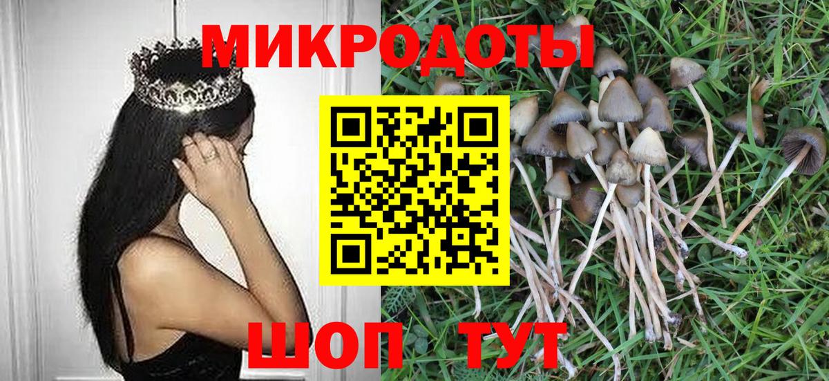 Галлюциногенные грибы Cubensis Киреевск