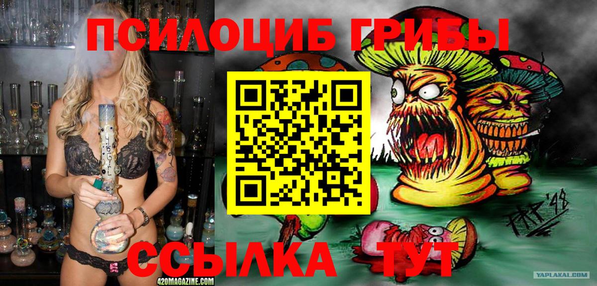 Киреевск  Псилоцибиновые грибы Magic Shrooms  Вход с VPN 
